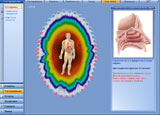 Bio Resonance Intellectual Scanner. Photo 8