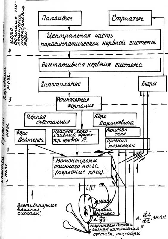 Рис.4.